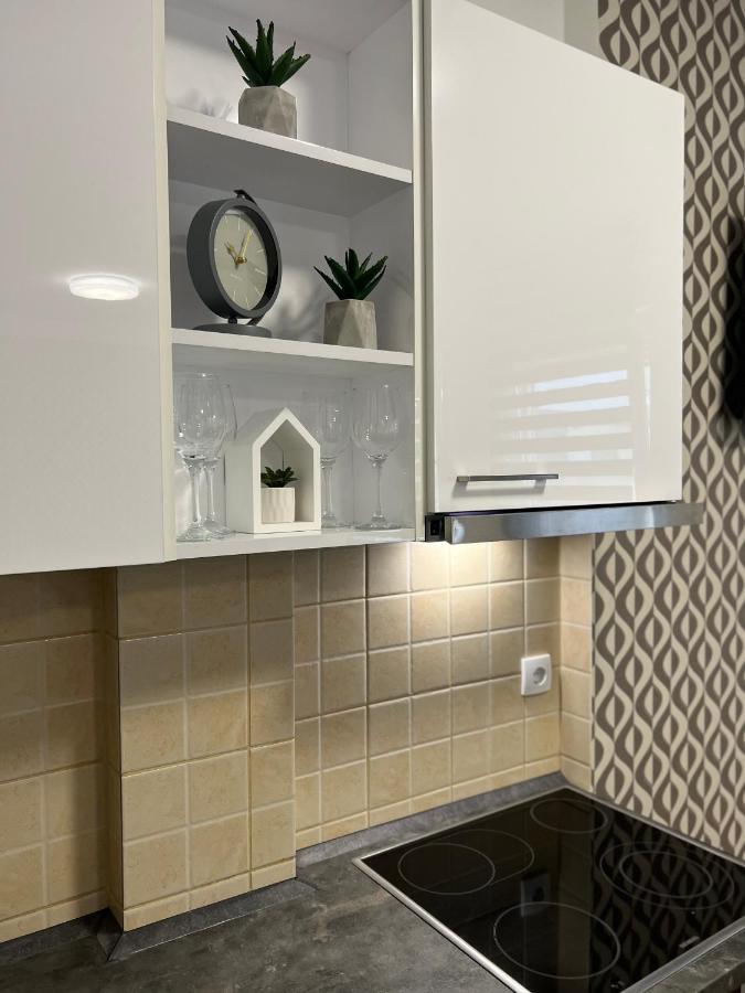 Centar Ns2 Apartment Нови Сад Екстериор снимка
