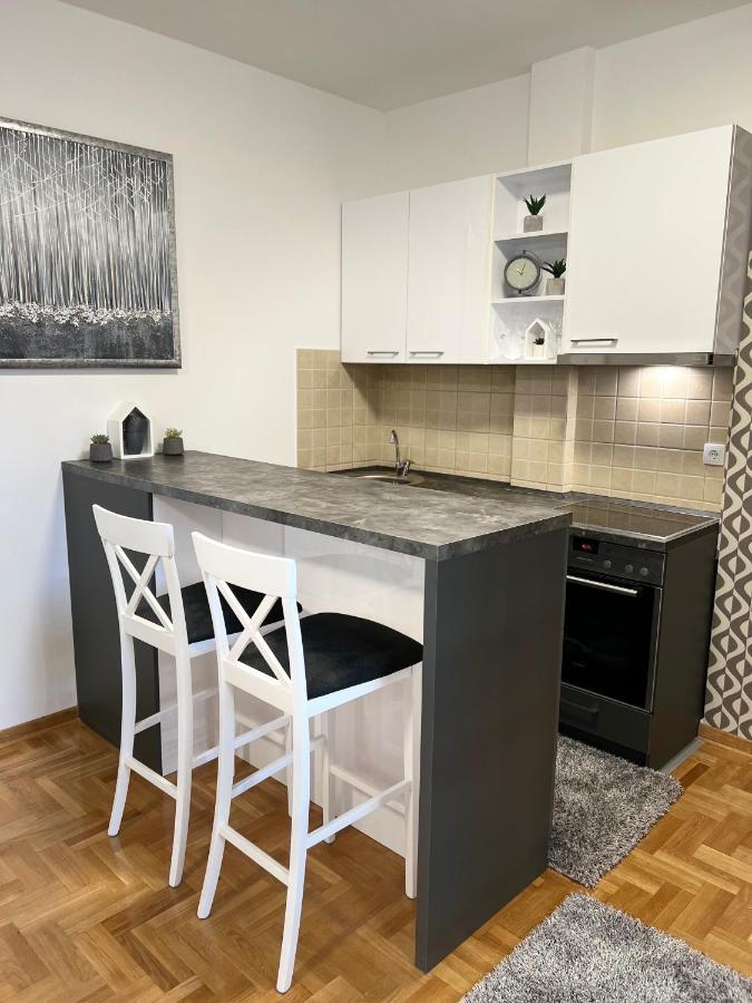 Centar Ns2 Apartment Нови Сад Екстериор снимка