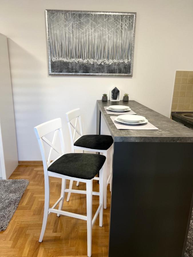 Centar Ns2 Apartment Нови Сад Екстериор снимка