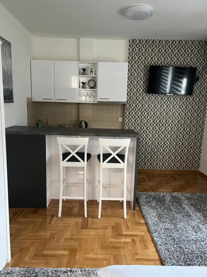 Centar Ns2 Apartment Нови Сад Екстериор снимка